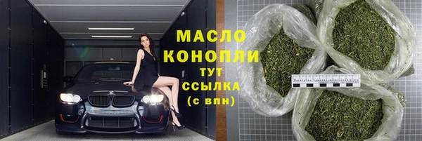 ECSTASY Богданович