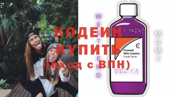 ECSTASY Богданович