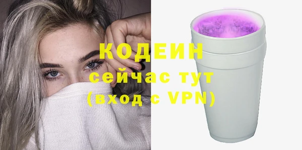ECSTASY Богданович