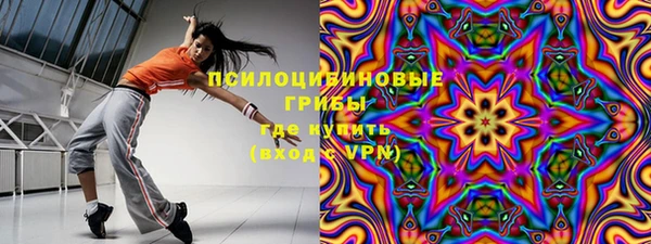 2c-b Богородицк