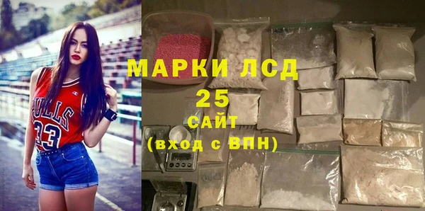 ECSTASY Богданович