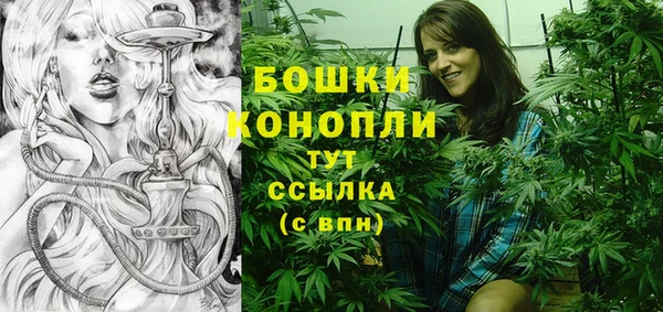 ECSTASY Богданович