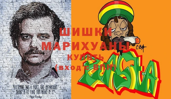 ECSTASY Богданович