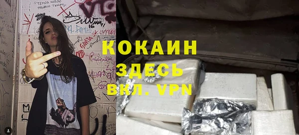 ECSTASY Богданович