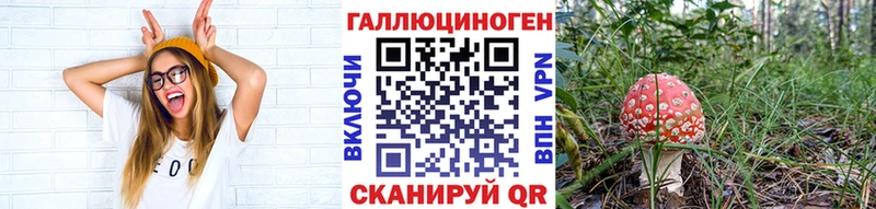 Галлюциногенные грибы прущие грибы  наркота  Дагестанские Огни 